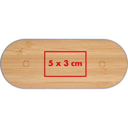 Induktionsladestation Nassau, A-Nr.: 3658 - 04 Induktionsladestation Nassau, A-Nr.: 3658 - 04