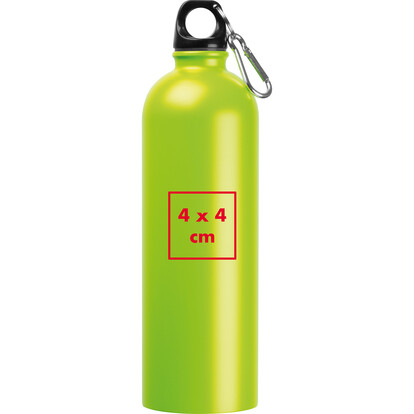 Edelstahl Trinkflasche Ostrov,apfelgrün, A-Nr.: 524029 - 04